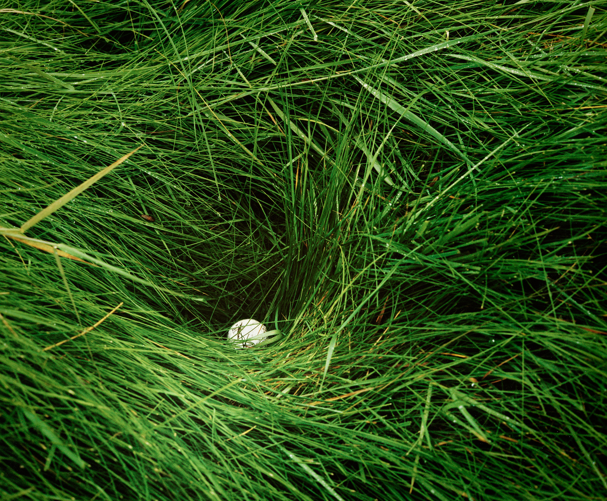 Flush It From The Rough | How To | Golf Digest