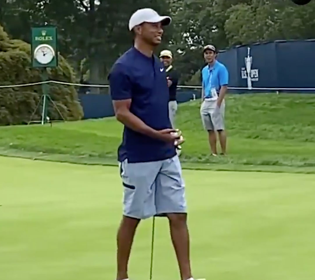 tiger woods practice golf shorts