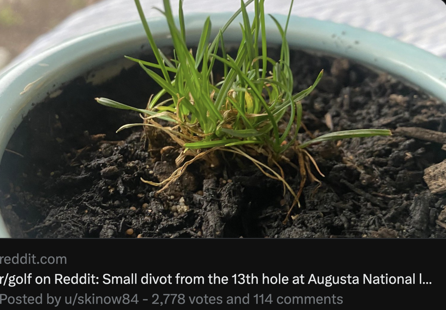 Redditor takes divot from Augusta National, deletes account after post goes viral This is the Loop GolfDigest